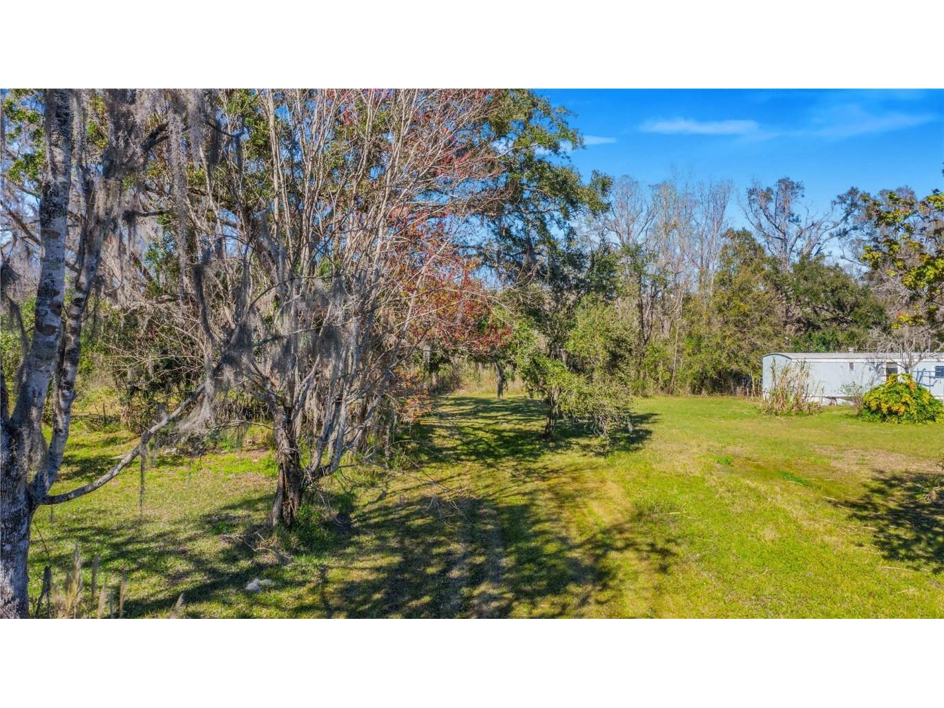 Locke Road Davenport FL 33837 - Horse Creek P4929111 image5