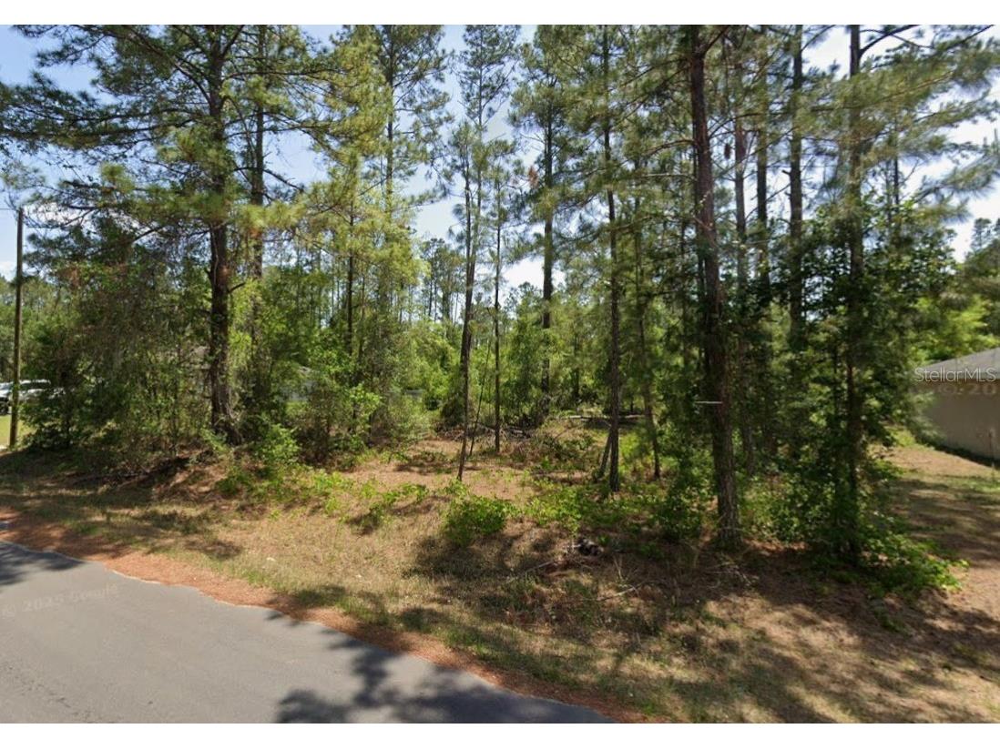 Locust Course Ocala FL 34472 S5140549 image1