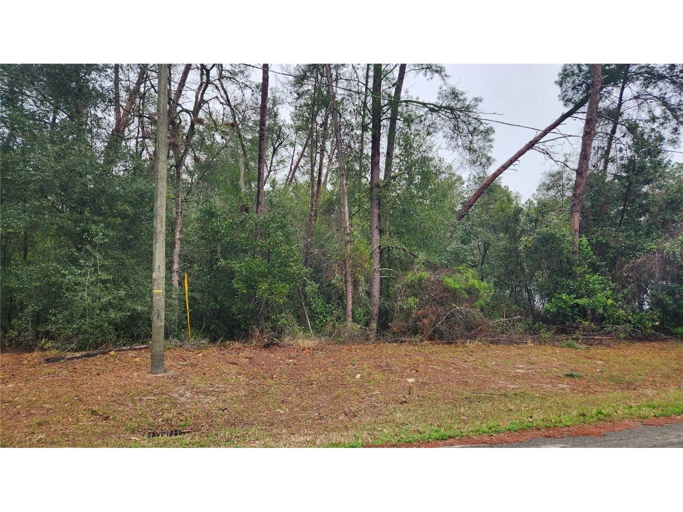 Locust Course Radial Ocala FL 34472 O6338034 image1