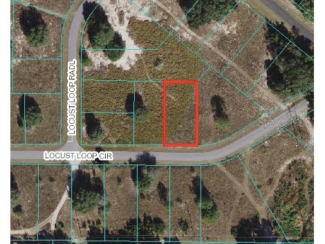 Locust Loop Circle Ocala FL 34472 OM625690 image1