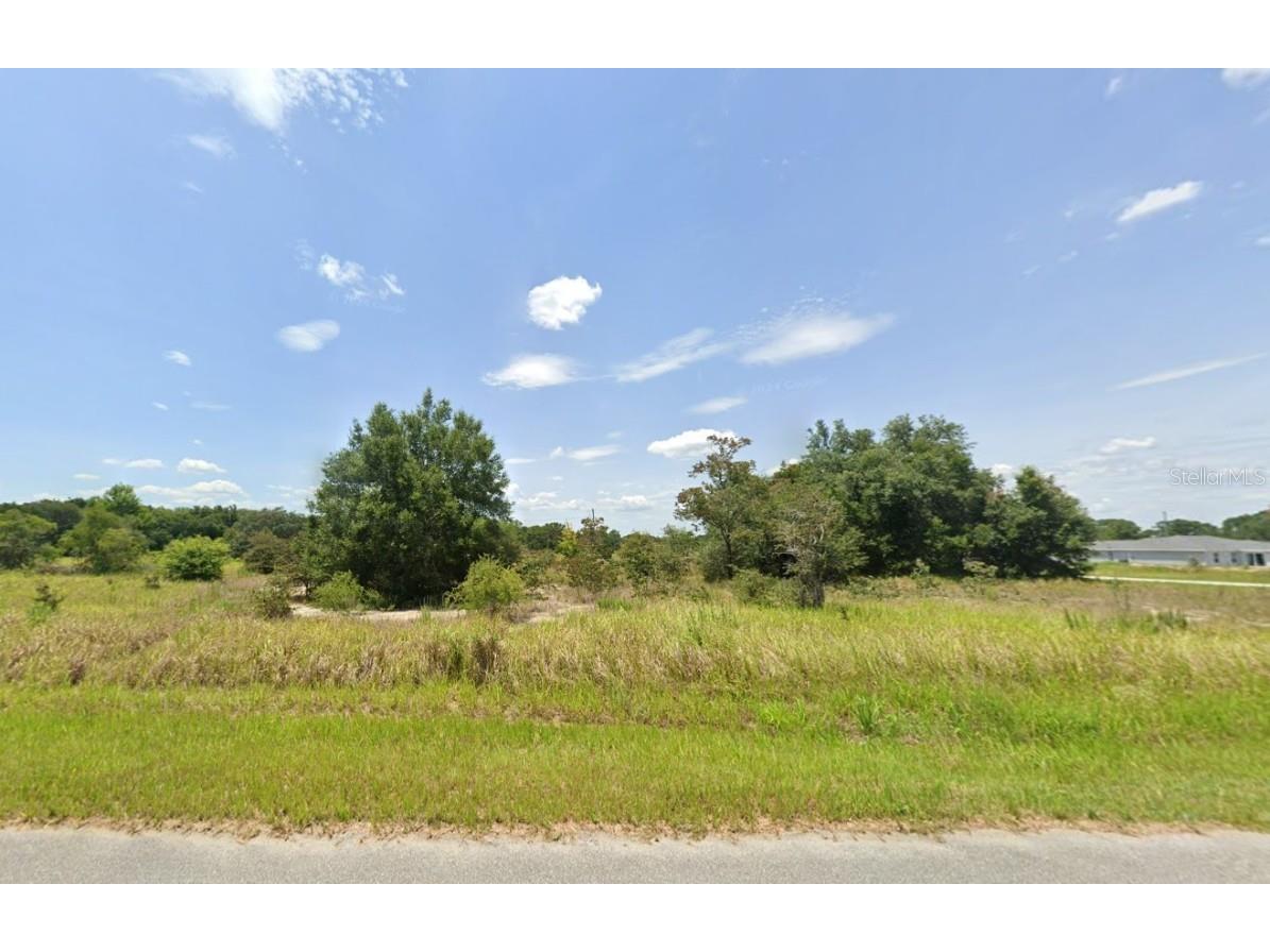 Locust Pass #2 Ocala FL 34472 OK225073 image1