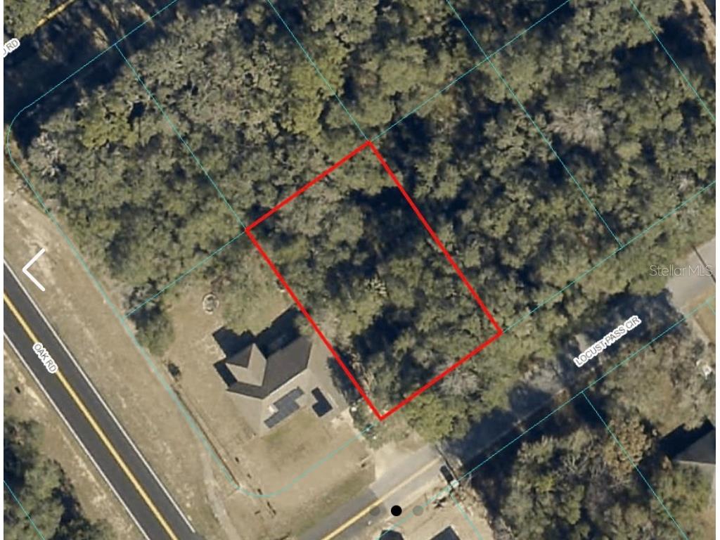 Locust Pass Cir Ocala FL 34472 OM658263 image1