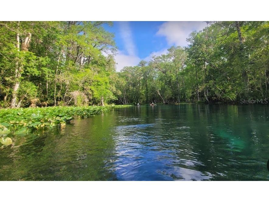 lot 19 Locust Pass Lane Ocala FL 34472 C7507317 image5