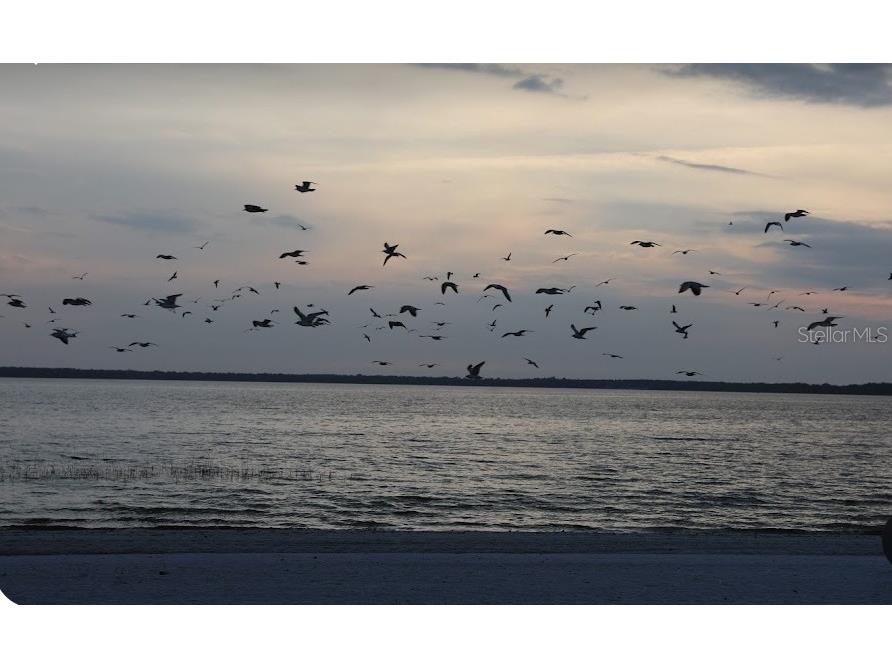 lot 19 Locust Pass Lane Ocala FL 34472 C7507317 image6