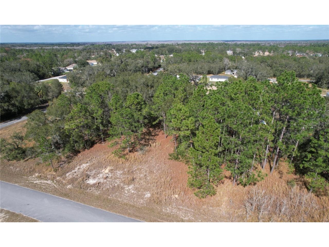 Locust Pass Ocala FL 34472 O6173272 image1