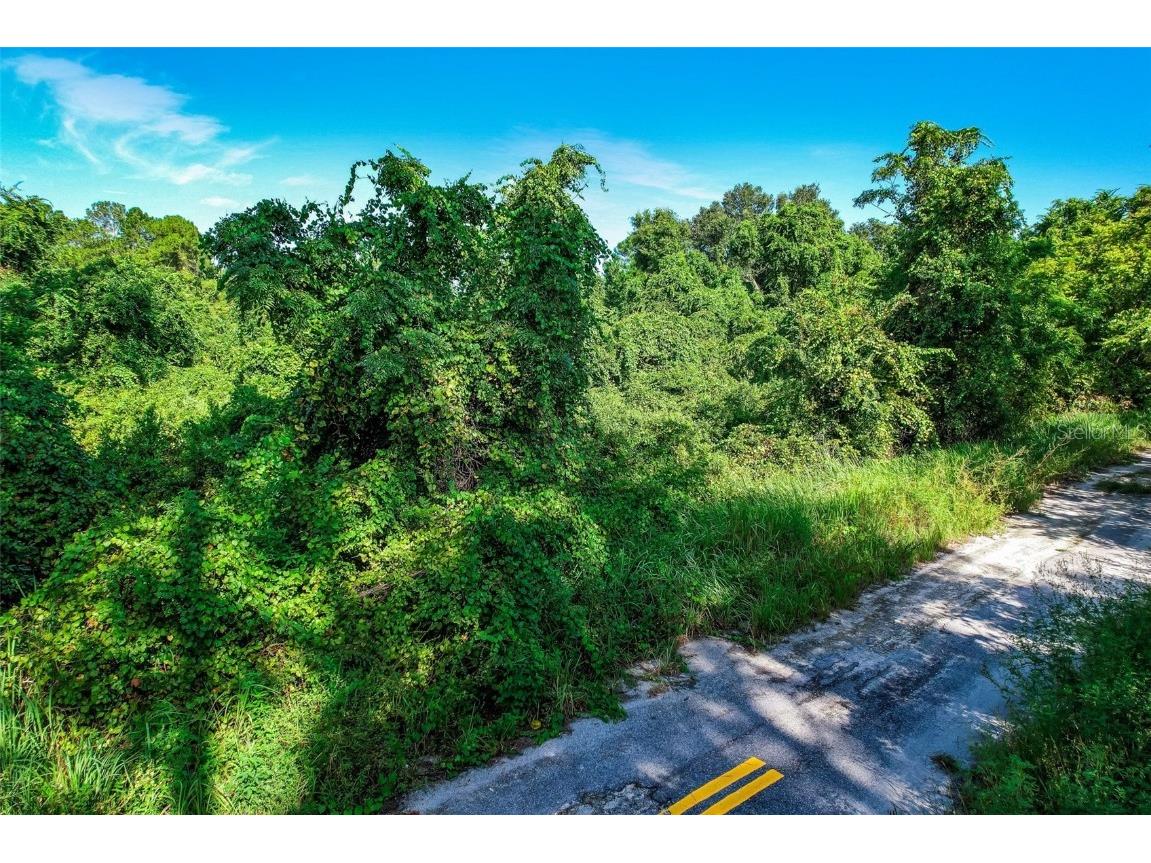Locust Place Run Ocala FL 34472 O6139888 image1