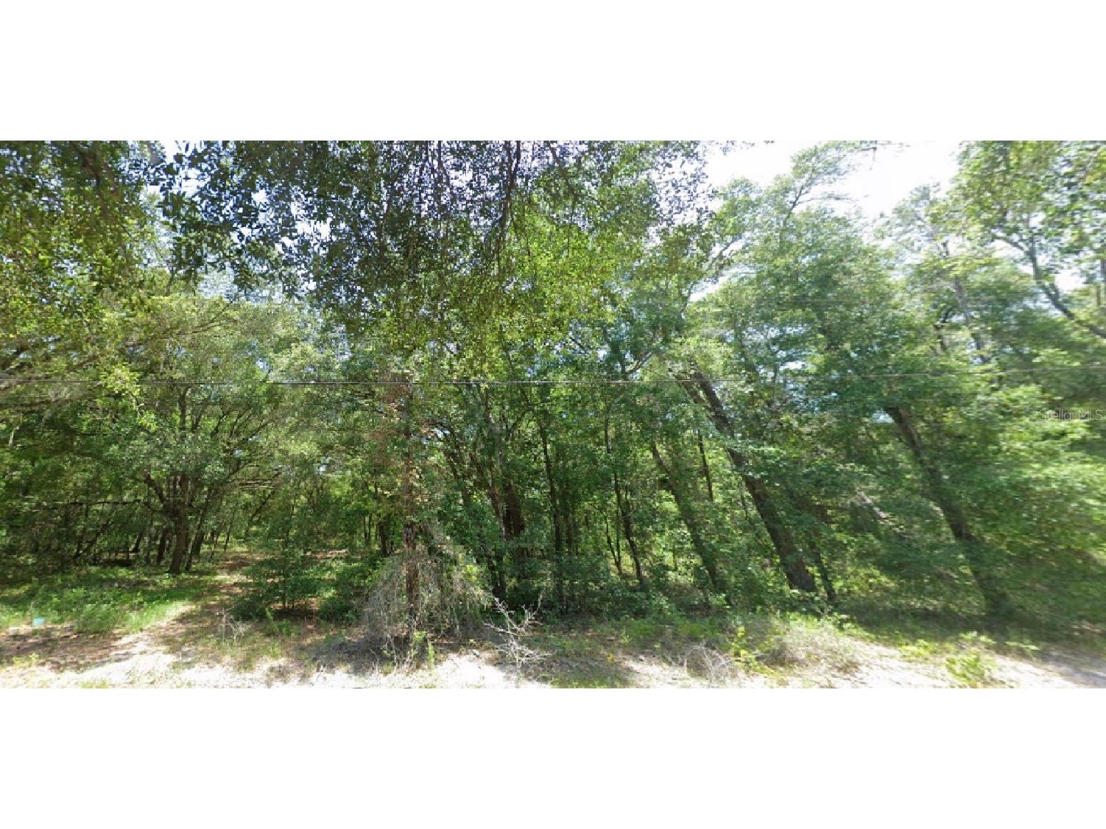 Locust Radical Course Ocala FL 34472 O6097278 image1