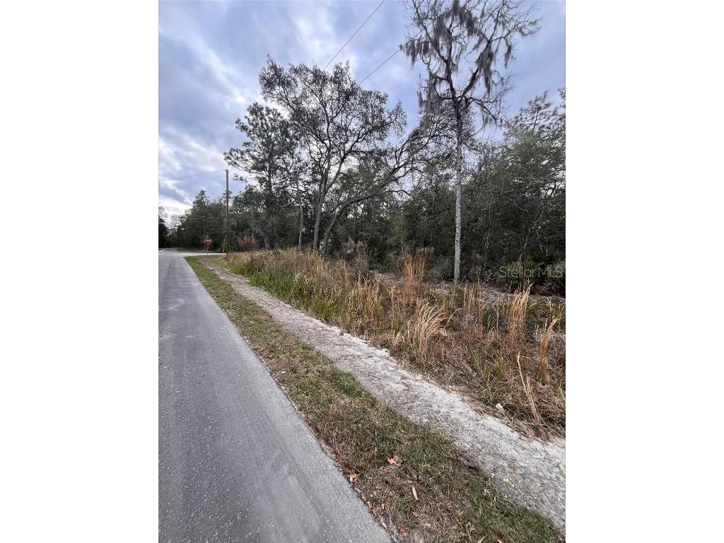 Locust Radl Ocala FL 34472 OM673093 image1