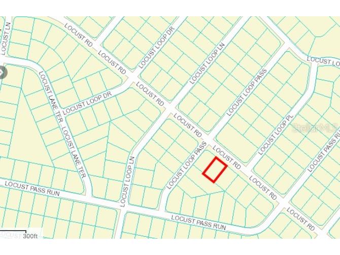 Locust Road Ocala FL 34472 OM656827 image1