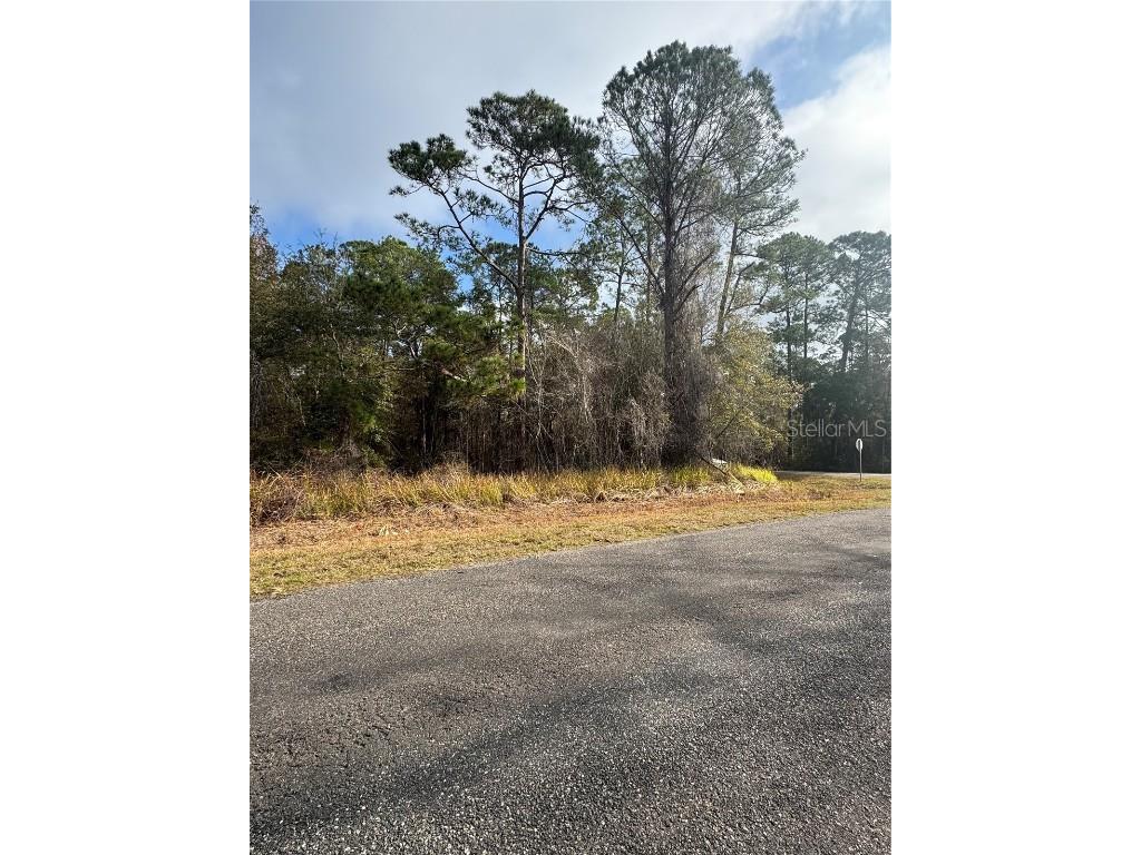 Locust Road Ocala FL 34472 OM716158 image2