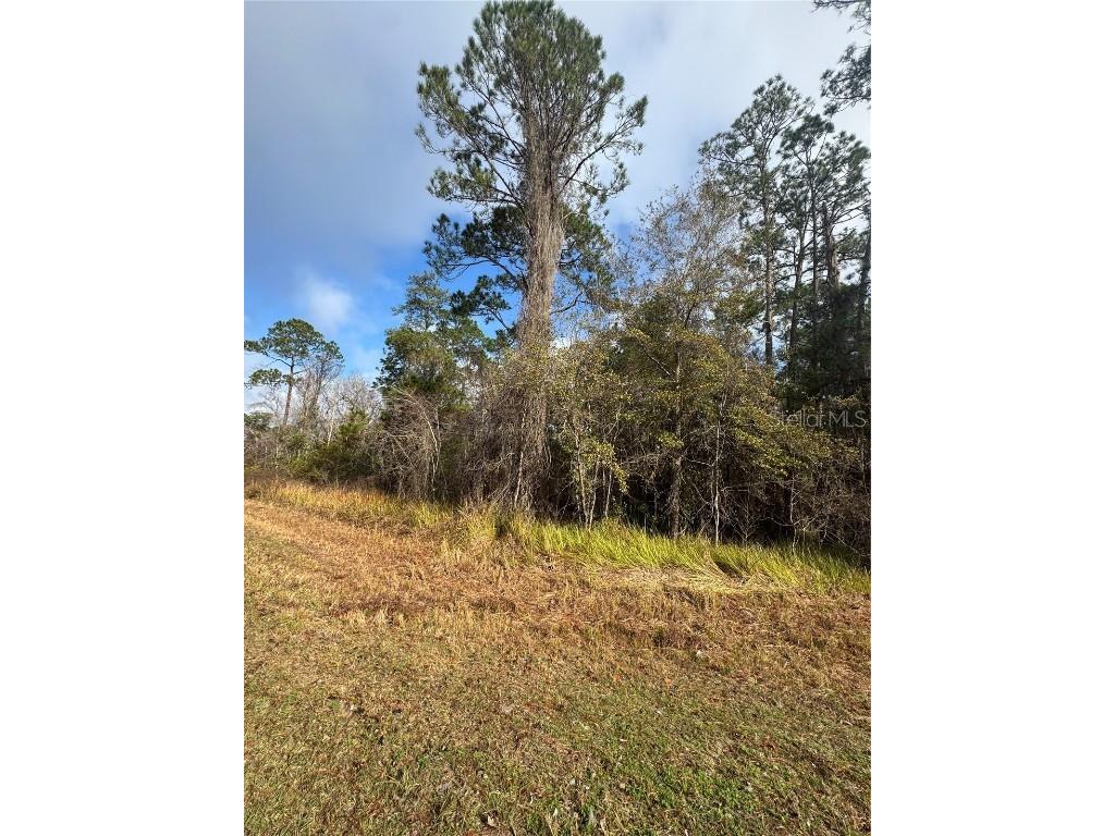 Locust Road Ocala FL 34472 OM716158 image4