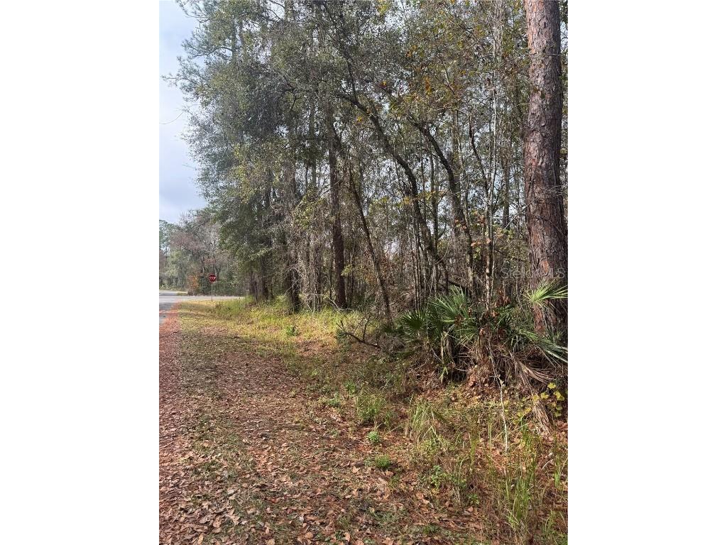 Locust Road Ocala FL 34472 OM716158 image5