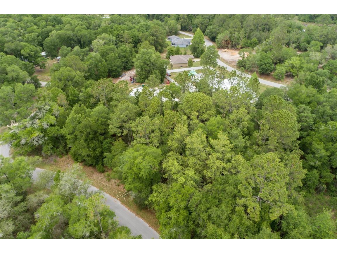 Locust Run Cir Ocala FL 34472 GC513790 image1