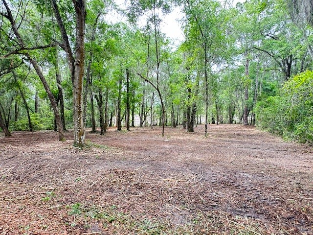 Locust Run Course Ocala FL 34472 G5111023 image11