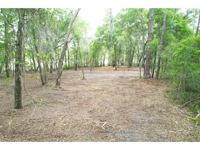 Locust Run Course Ocala FL 34472 G5111023 image2