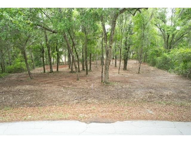 Locust Run Course Ocala FL 34472 G5111023 image3