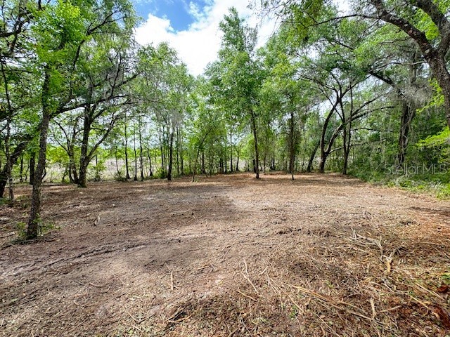 Locust Run Course Ocala FL 34472 G5111023 image4