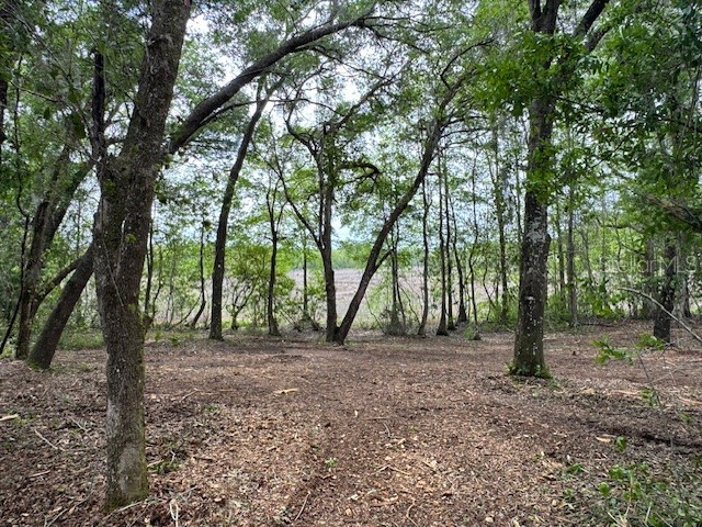 Locust Run Course Ocala FL 34472 G5111023 image5