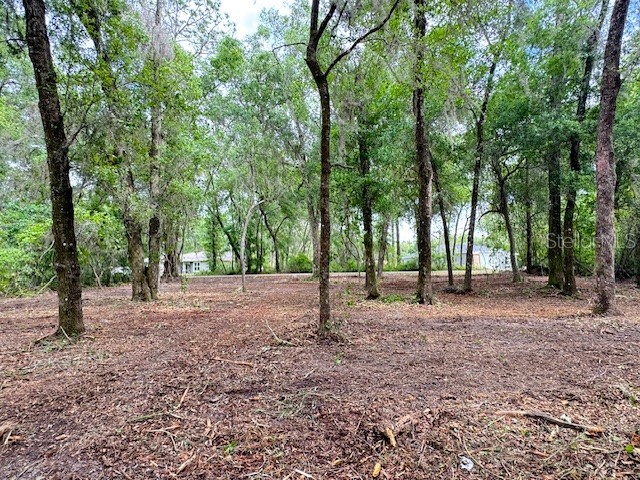 Locust Run Course Ocala FL 34472 G5111023 image7