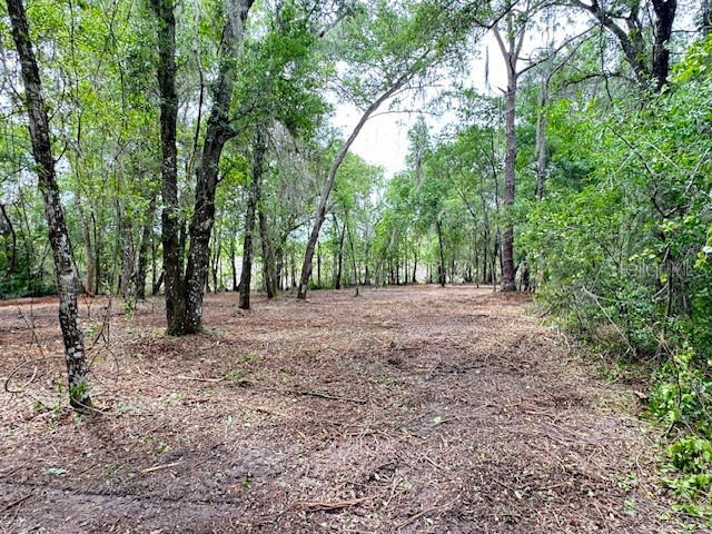 Locust Run Course Ocala FL 34472 G5111023 image8