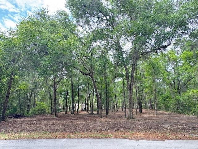 Locust Run Course Ocala FL 34472 G5111023 image9