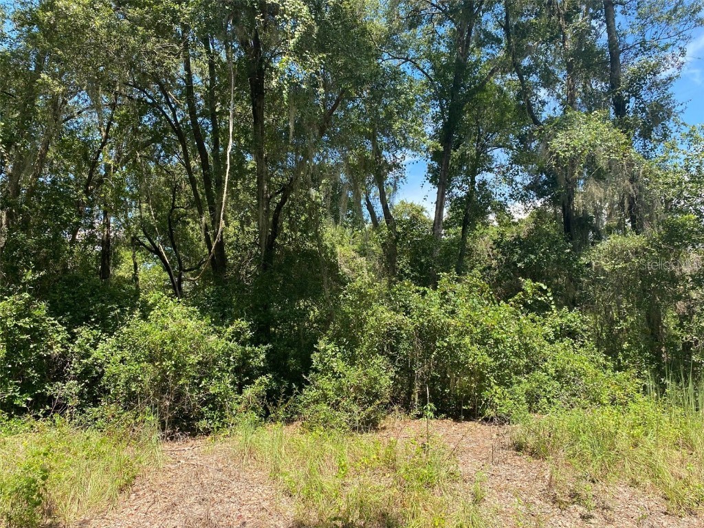 Locust Run Dr Ocala FL 34472 OM645495 image1