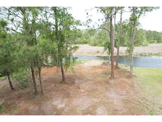Locust Run Drive Ocala FL 34472 G5111025 image1