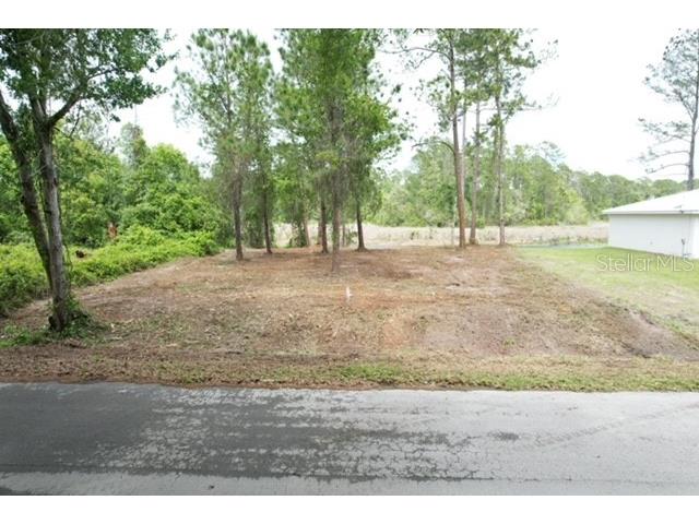 Locust Run Drive Ocala FL 34472 G5111025 image3