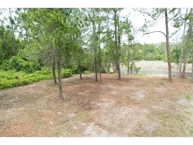 Locust Run Drive Ocala FL 34472 G5111025 image4
