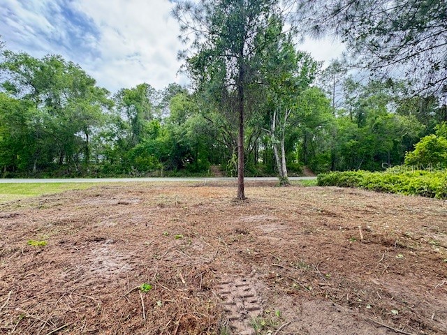Locust Run Drive Ocala FL 34472 G5111025 image6