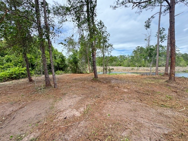 Locust Run Drive Ocala FL 34472 G5111025 image7