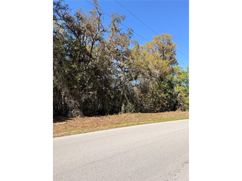 Locust Run Ocala FL 34472 OM697400 image1