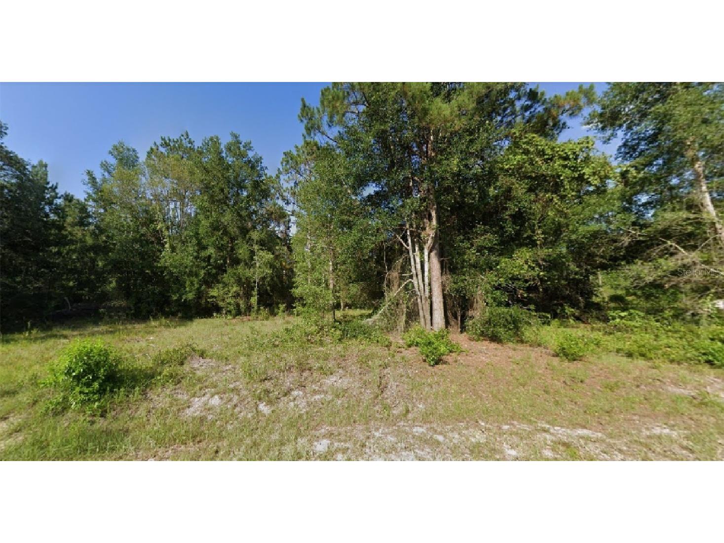 Locust Run Radial Ocala FL 34472 O6067543 image1