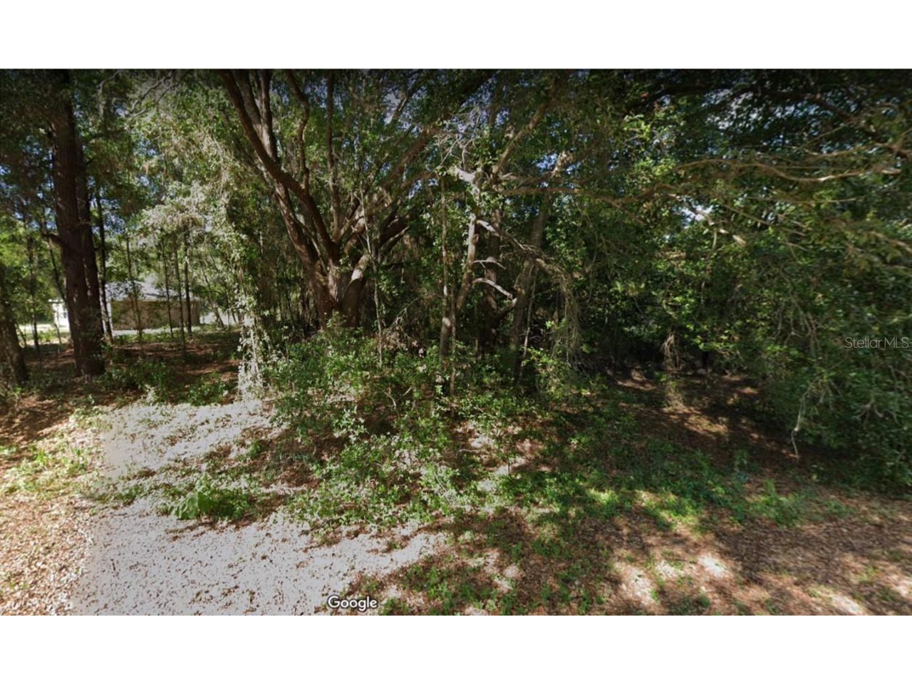 Locust Run Radial Ocala FL 34472 OM661790 image1