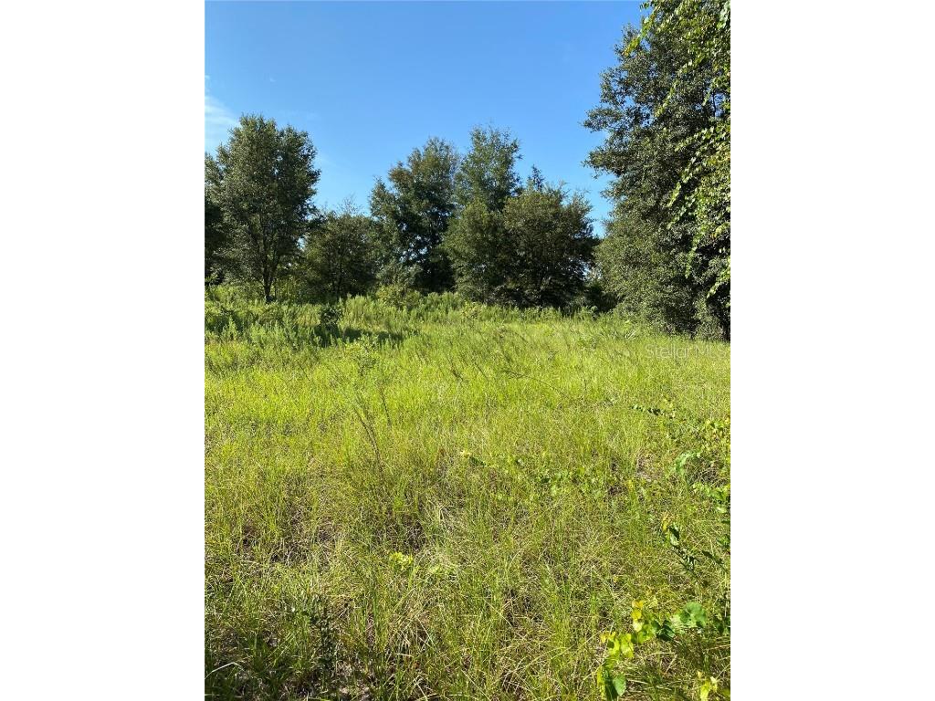 Locust Run Radial Ocala FL 34472 OM664034 image1