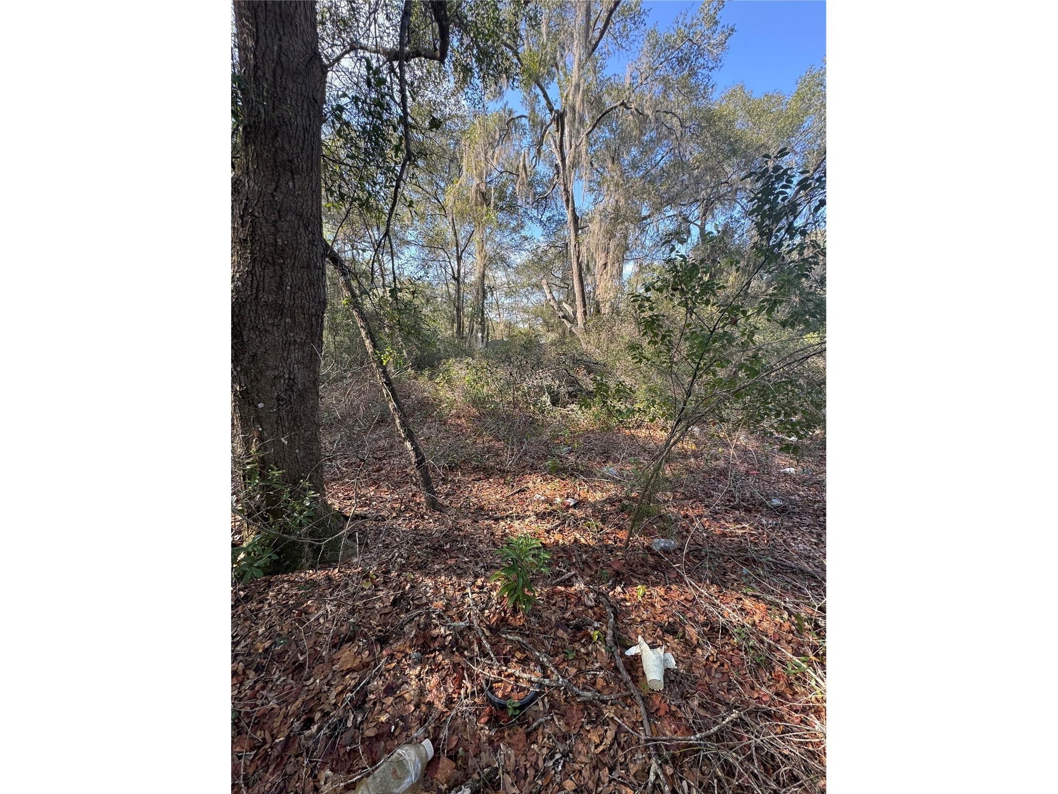 Locust Run Radial Ocala FL 34472 OM716159 image1