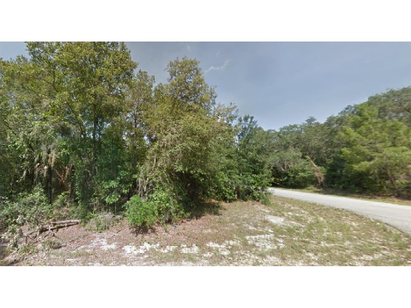 Locust Terrace Place Ocala FL 34472 O6086030 image1