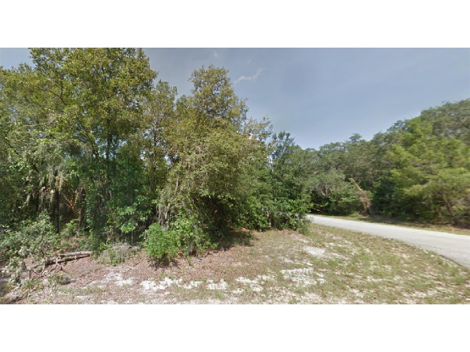 Locust Terrace Place Ocala FL 34472 O6086030 image1