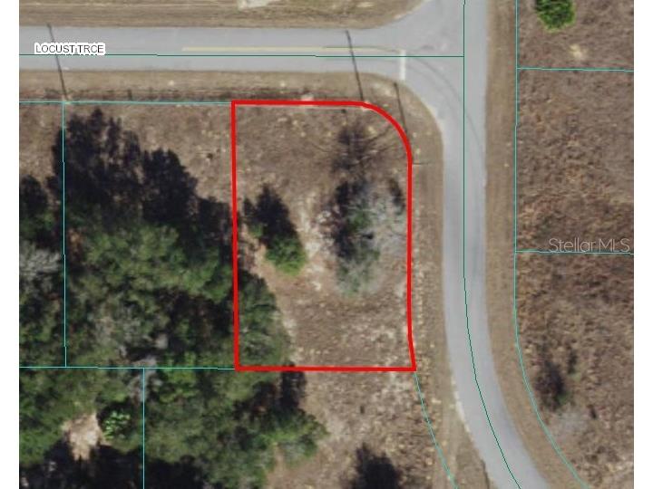 Locust Trace Ocala FL 34472 OM674529 image1