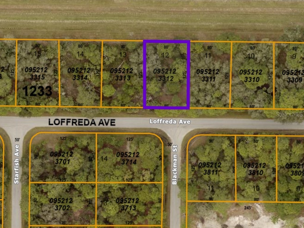 Loffreda Avenue North Port FL 34291 C7453017 image1