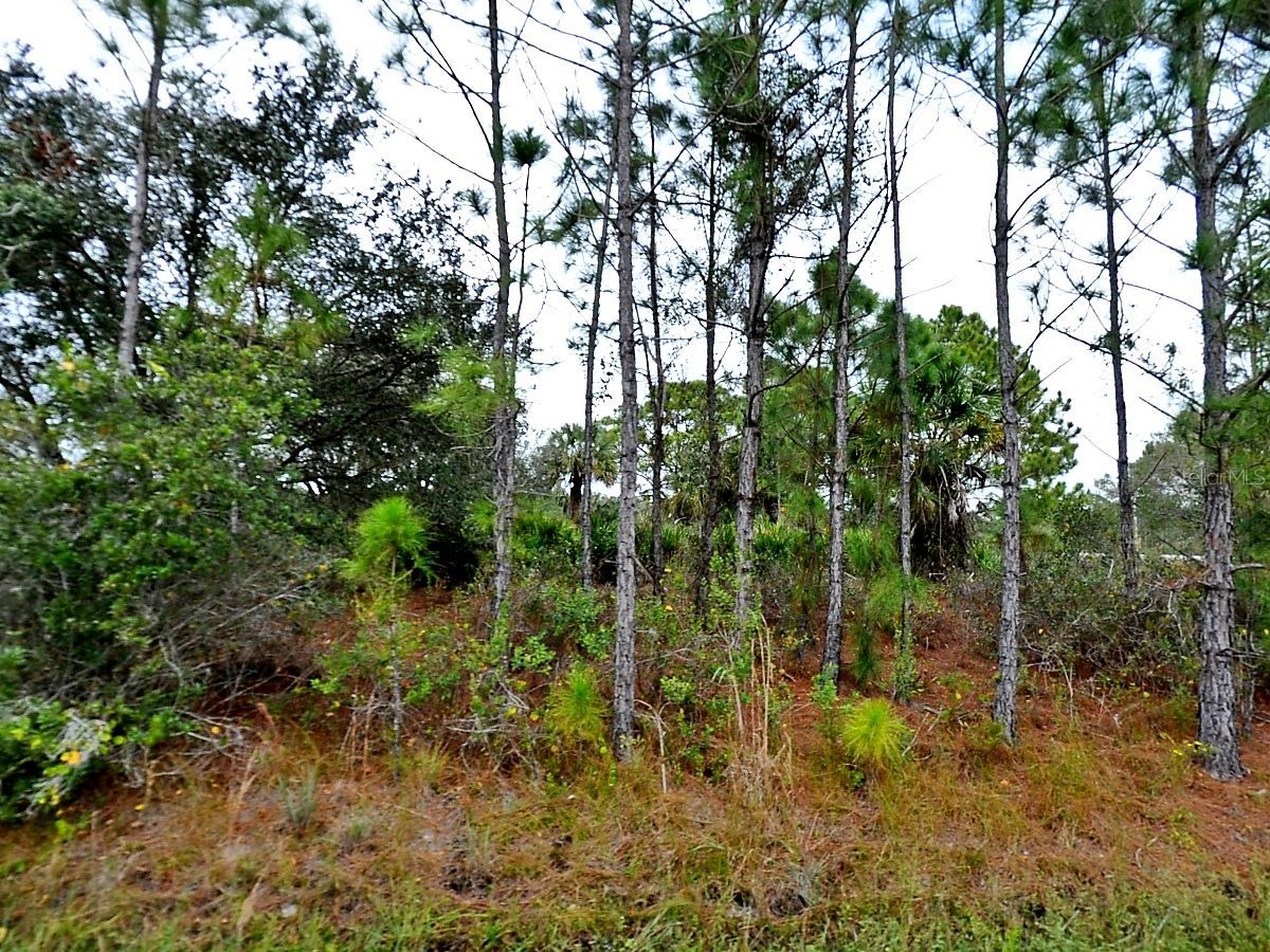 Loffreda Lot #8 Avenue North Port FL 34291 C7524103 image1