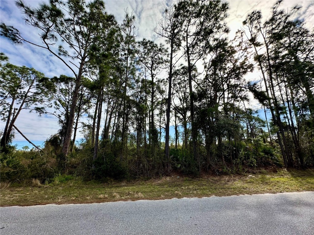 Log Cabin Road North Port FL 34291 A4599167 image1