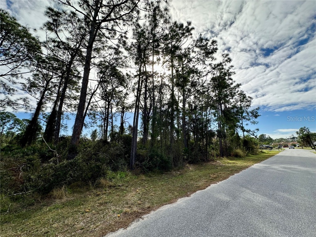 Log Cabin Road North Port FL 34291 A4599169 image1