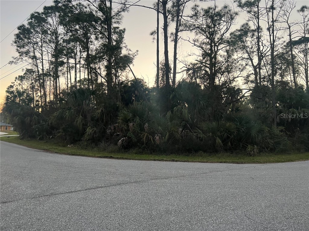 Lolly Road North Port FL 34286 C7488332 image1