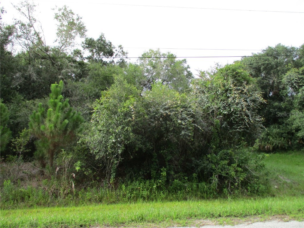 Lolly Road North Port FL 34286 N6116092 image1