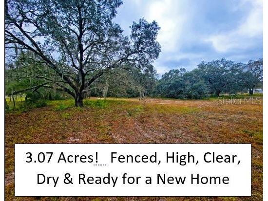 Loma Avenue Spring Hill FL 34610 T3340124 image1