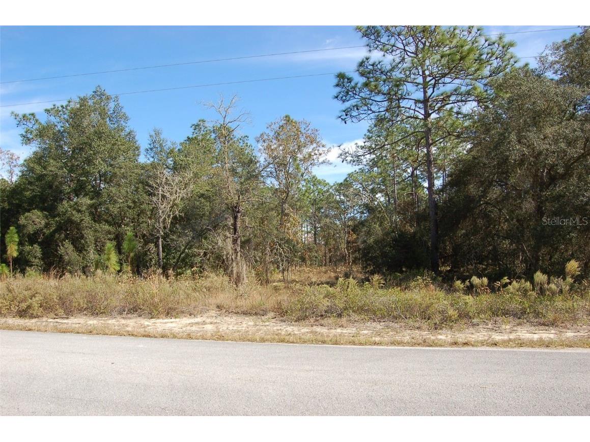Lombardy Lane Dunnellon FL 34431 OM700899 image1