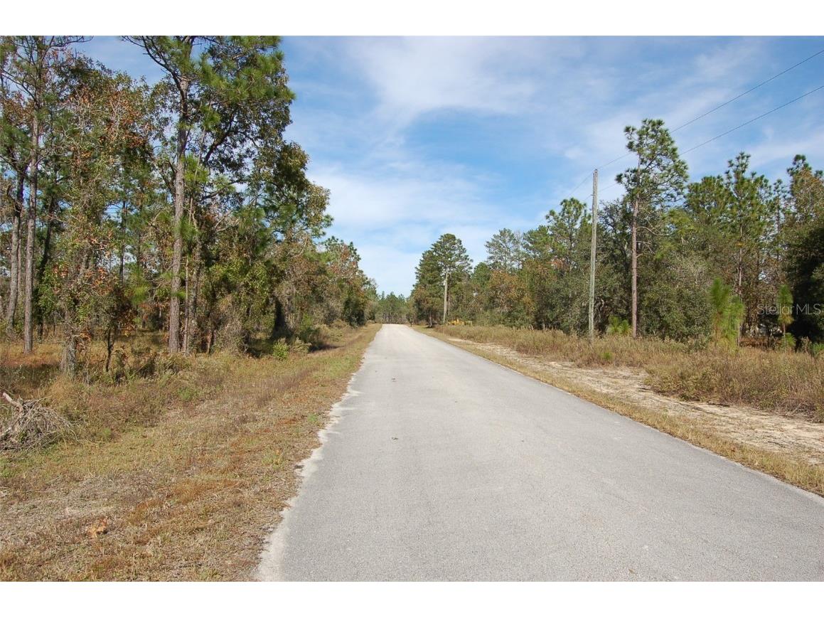 Lombardy Lane Dunnellon FL 34431 OM700899 image2