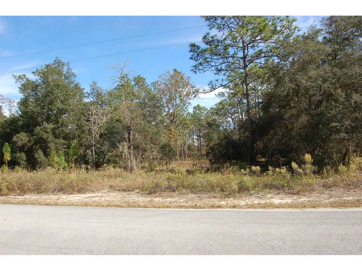 Lombardy Lane Dunnellon FL 34431 OM700899 image3