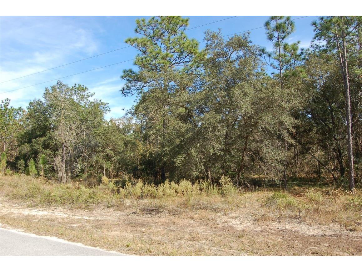 Lombardy Lane Dunnellon FL 34431 OM700899 image4